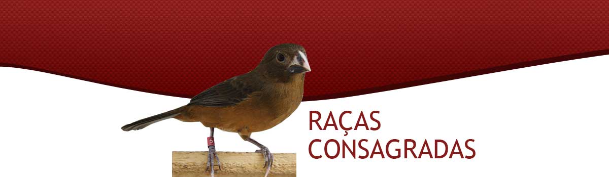 Criadouro Brasinha