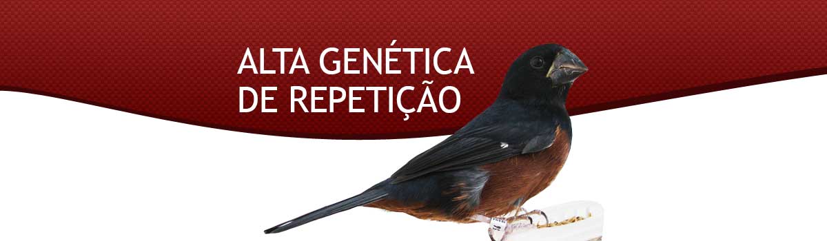 Criadouro Brasinha
